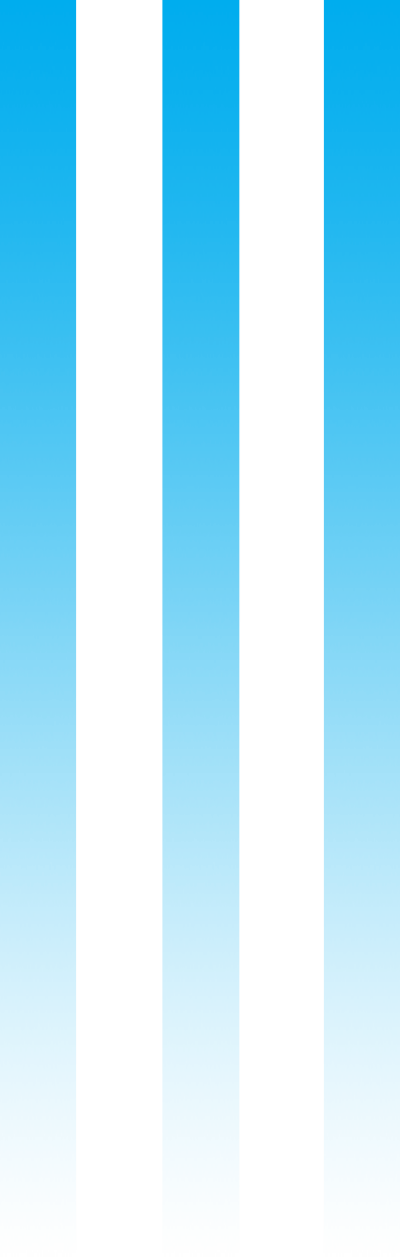 color-bars-vertical-only_top-400×1257